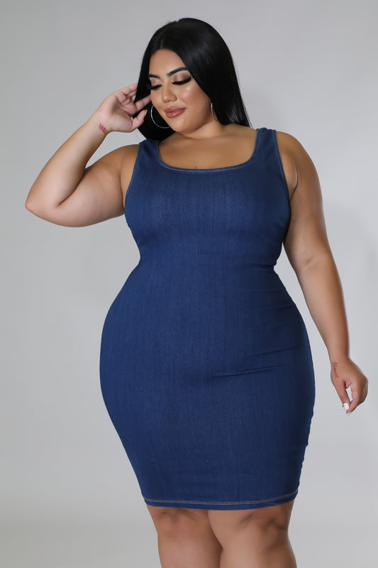 Isabelle Days Stretch Denim Dress